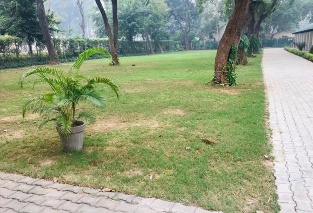 Green Area Maintenance at Army Veteran Cell - Delhi